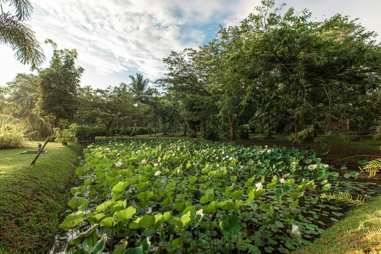 Villa Acres Green Ginimellagaha West Kültér fotó